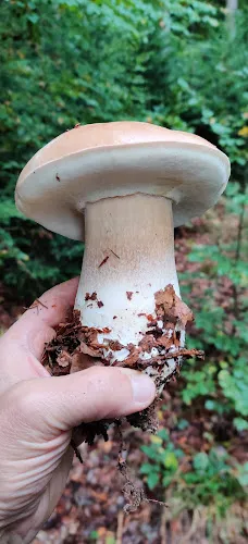 2 - Herr Christian Schwab