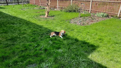 5 - Herr Dr. med. Bernd-Michael Pratsch