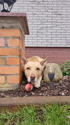 7 - Herr Dr. med. Bernd-Michael Pratsch