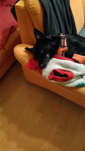 6 - Herr Dr. med. Bernd-Michael Pratsch