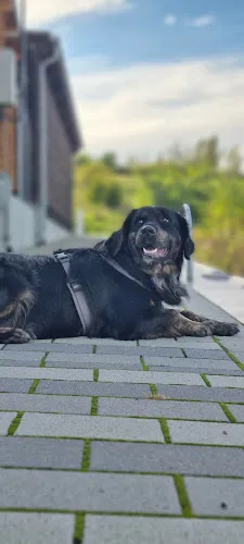 4 - Herr Dr. med. Bernd-Michael Pratsch