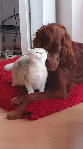 3 - Herr Dr. med. Bernd-Michael Pratsch