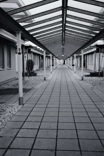 6 - Herr Dr. med. Cornelius Hönn.