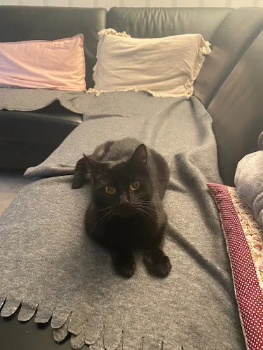 3 - Herr Dr. med. dent. Guido Kemper