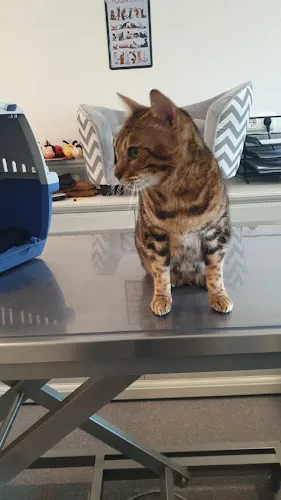 5 - Herr Dr. med. dent. Guido Kemper