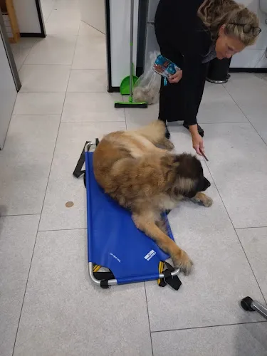 4 - Herr Dr. med. dent. Guido Kemper