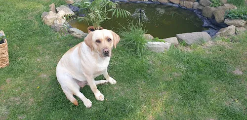 8 - Herr Dr. med. dent. Guido Kemper