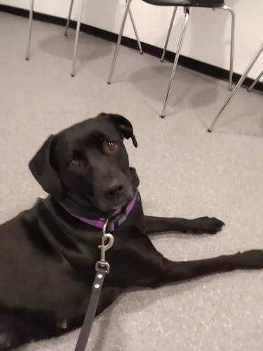 2 - Herr Dr. med. dent. Guido Kemper