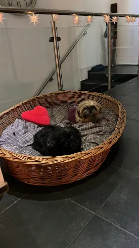 7 - Herr Dr. med. dent. Guido Kemper