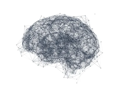 1 - Herr Dr. med. Eduard und Markus Krebs