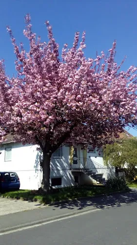 3 - Herr Dr. med. Hani El-Hassan