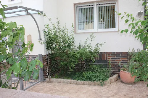 6 - Herr Dr. med. Hans Harjung