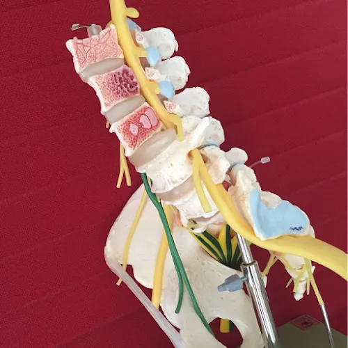 5 - Herr Dr. med. Reinhold Schmid