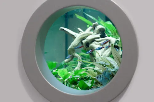 7 - Herr Dr. med. Stefan Kurek