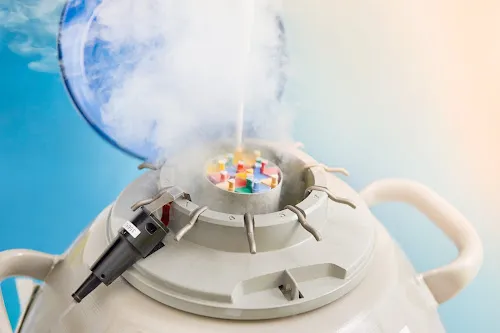 2 - Herr Dr. med. Thomas Probst