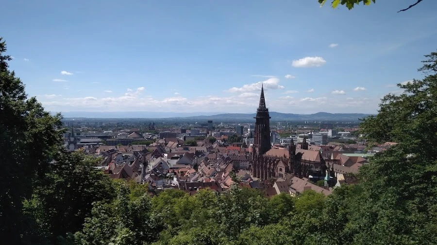 1 - Herr Dr. med. Wolfram Winterer