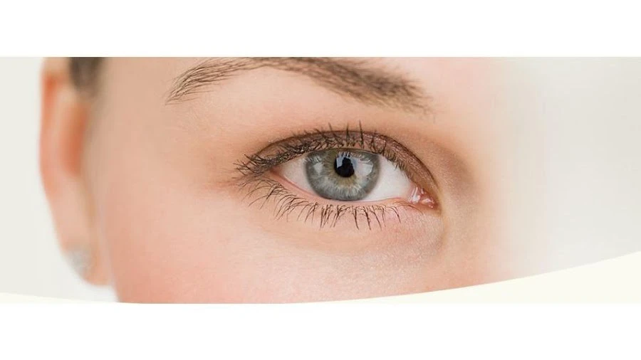 1 - Herr Dr. sc. med. Peter Kästner