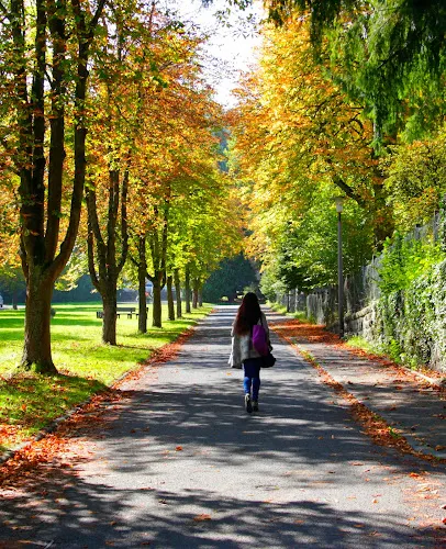 8 - Herr Jan Rubinstein