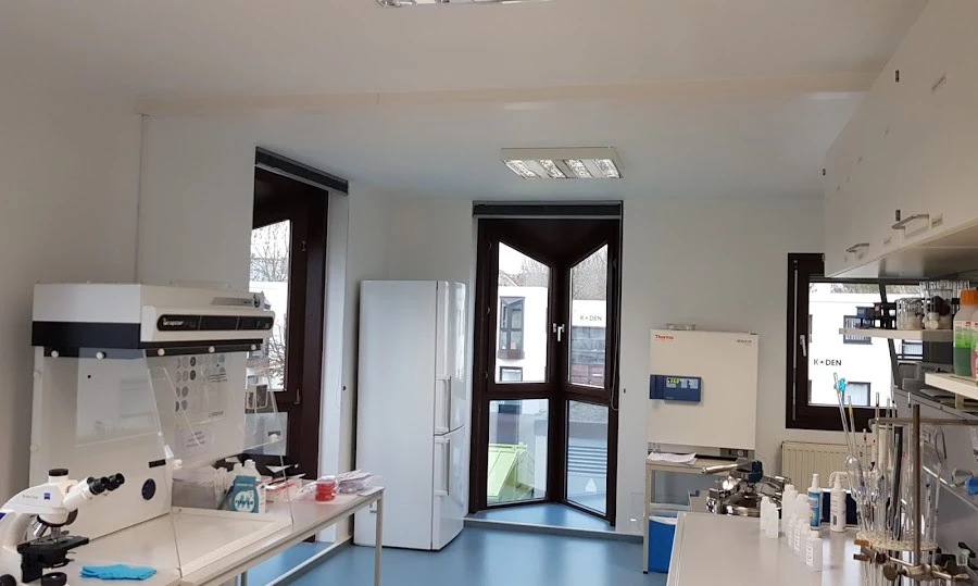 1 - Herr Johannes Reischmann