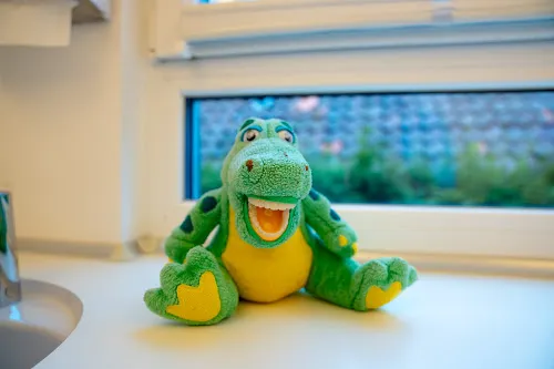 5 - Herr Karl Josef Mohr