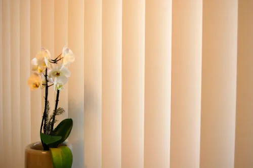 6 - Herr Nico Buchholz