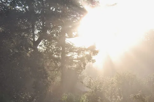 7 - Herr Nico Buchholz