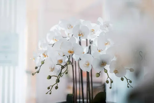 5 - Herr Ralf Lübben