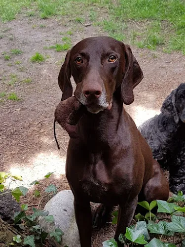 6 - Herr Stefan Rödelbronn