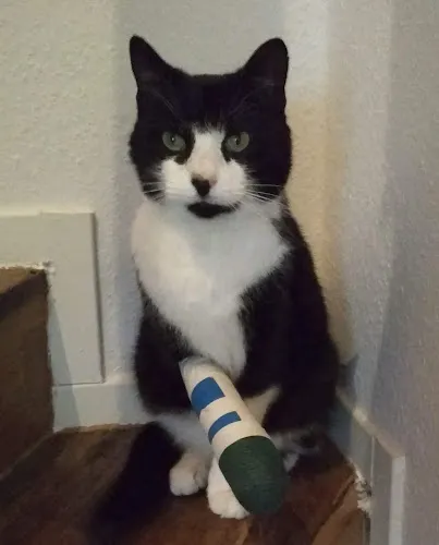 2 - Herr Sven Andrejewski