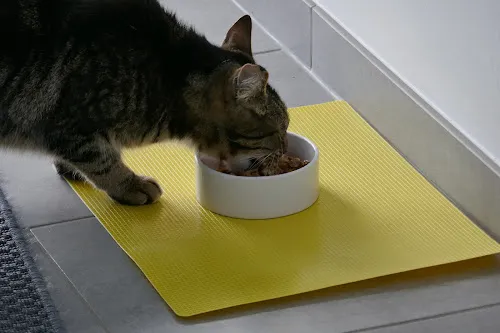 4 - Herr Sven Andrejewski