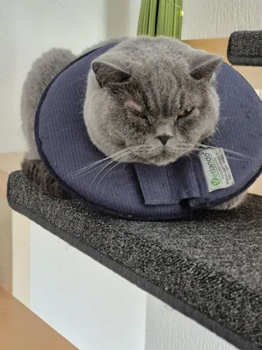 3 - Herr Sven Andrejewski