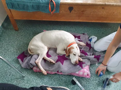 8 - Herr Sven Andrejewski