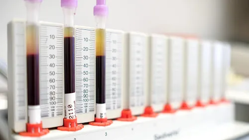 7 - Herr Thomas Schirp