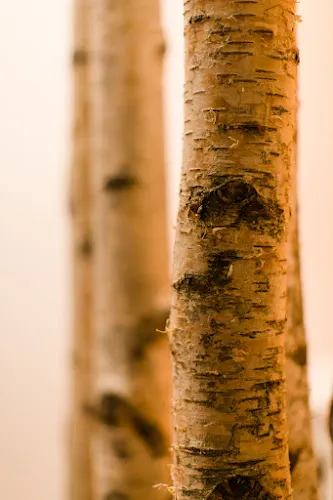 8 - Hofladen Billau GmbH