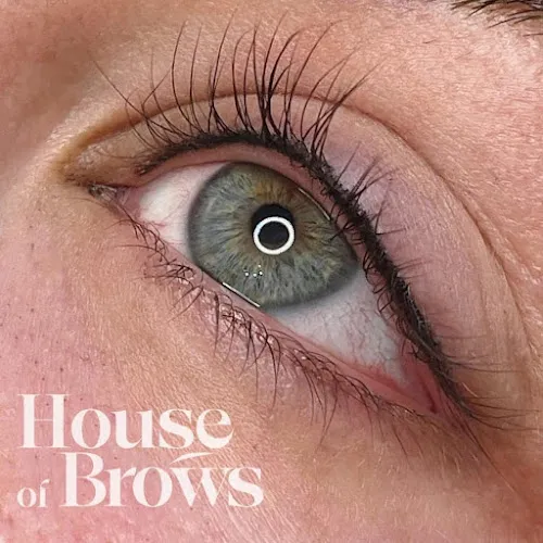 3 - House of Brows