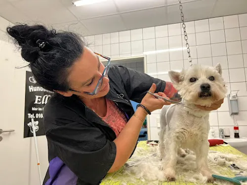 3 - Hundesalon Deggendorf / Hundesalon Ella