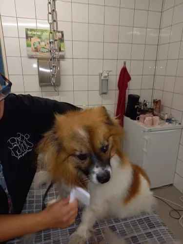 7 - Hundesalon Deggendorf / Hundesalon Ella