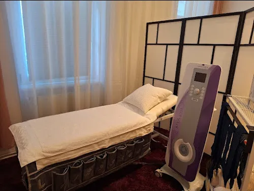 2 - Hundestudio Regina