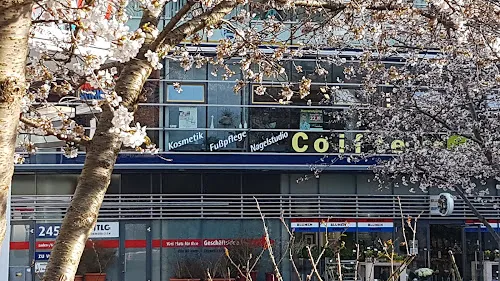 6 - ib Salon Kreativ