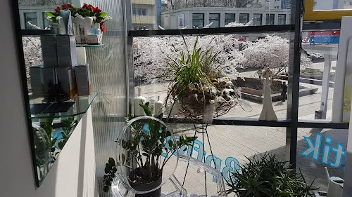 3 - ib Salon Kreativ