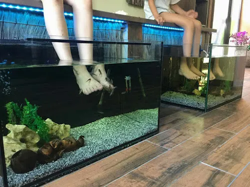 2 - Iliana’s BeautyLounge Studio & Academy