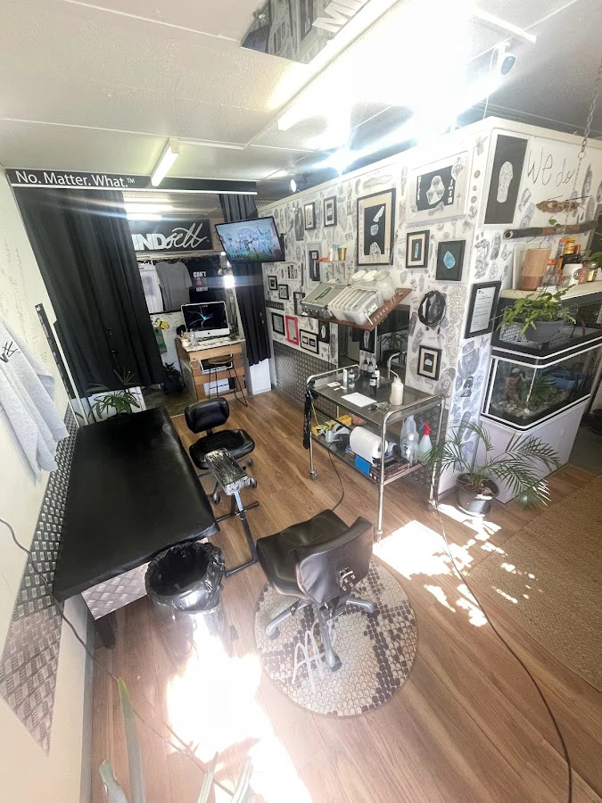 1 - Innocent Ink South Tweed