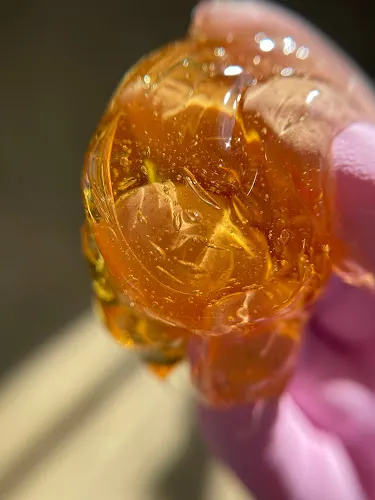 6 - International Beauty Salon