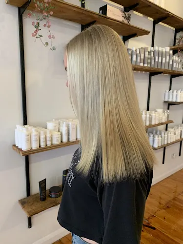 4 - Kates On Cameron