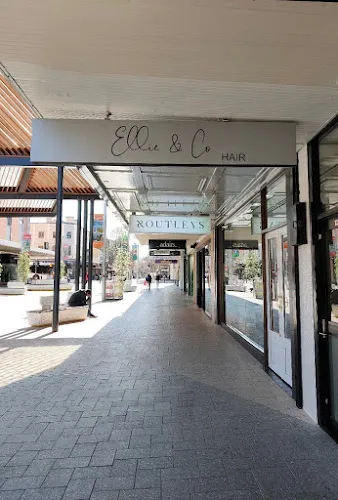 5 - Kates On Cameron