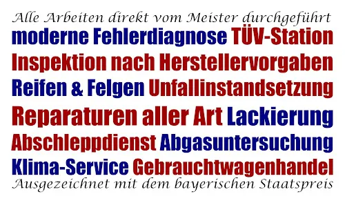 2 - KFZ-Meisterbetrieb SCHAUB