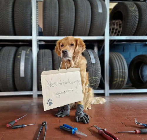 5 - KFZ Service Brinkmann