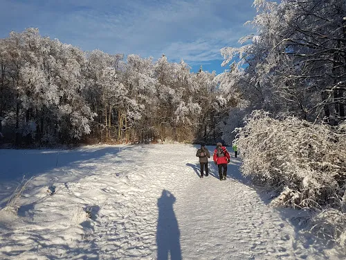3 - KFZ Service Roth - Meisterwerkstatt