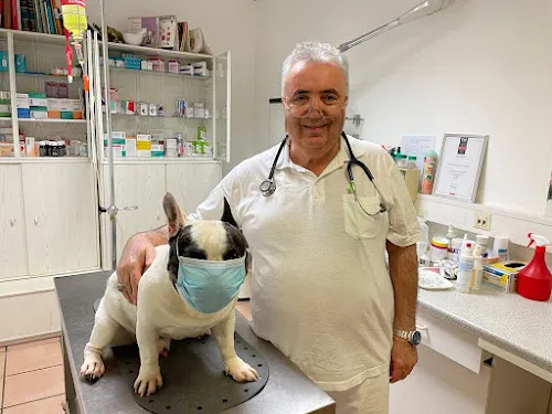 3 - Kleintierpraxis Dr. med. vet. Mahdi