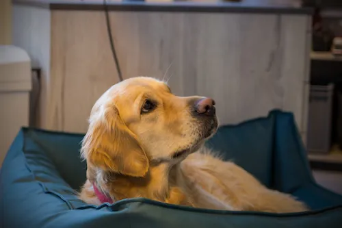 8 - Kraftwagenwerkstatt Schlick